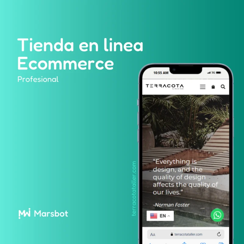 Tienda en línea profesional - Ecommerce