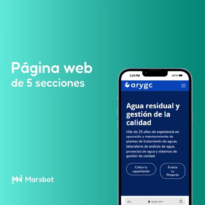 Página web profesional 5 subpáginas